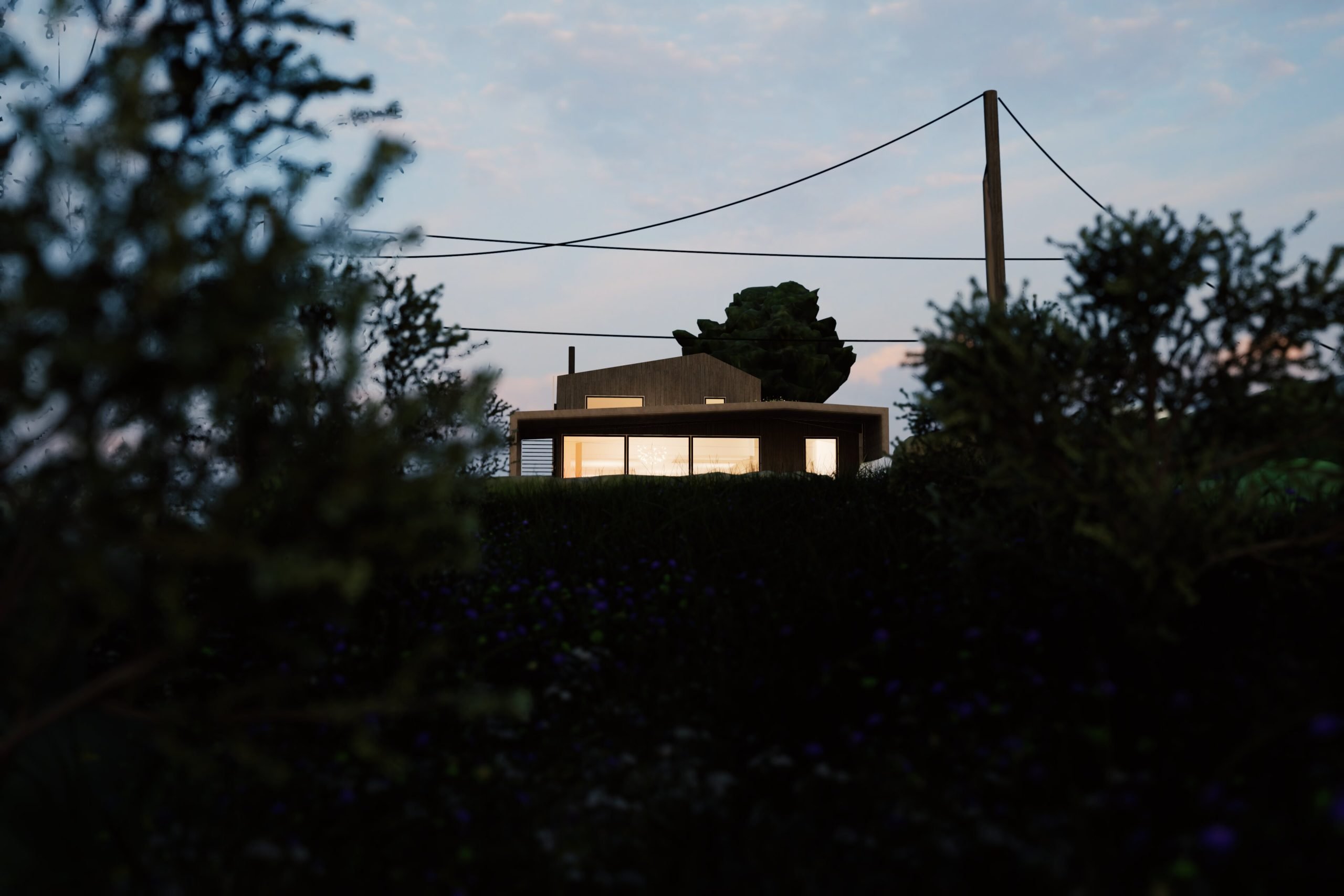 Garden view